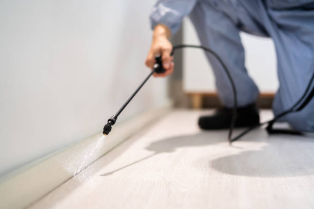 Licensed Termite Control service in Newport Beach, CA - Nex Pest Control