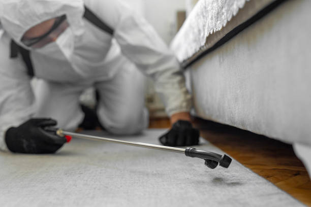 Professional Termite Control technician working in Newport Beach, CA