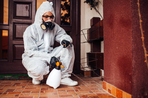 Reliable Termite Control contractor in Newport Beach, CA by Nex Pest Control